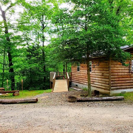 Lil' Log At Hearthstone Cabins And Camping - Pet Friendly 헬렌 외부 사진