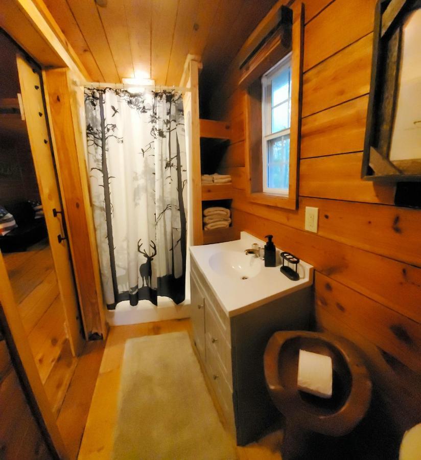 Lil' Log At Hearthstone Cabins And Camping - Pet Friendly 헬렌 외부 사진